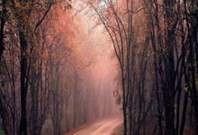 曼聯投入4300萬鎊引進法國中衛瓦拉內.