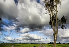 beat365官网:2024年世界职业技术教育发展大会开幕.