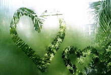 [流言板]字母谈被锁喉：我对阿门没有任何怨恨，我喜欢打球强硬的人50亮1028回复.